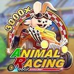ANIMAL RACING ANIMAL RACING